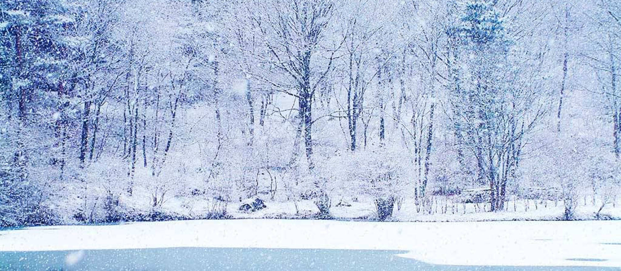 Snow covered image of a lake in winter time.