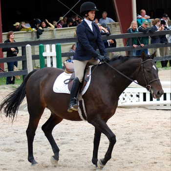 Riding Claims Third Place at IHSA National Championships
