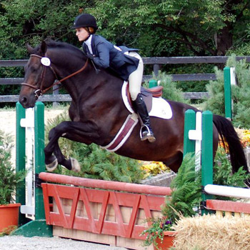 Riding Competes in Tournament of Champions Winter Classic