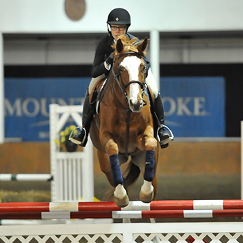 Riding Finishes Reserve High Point Champion at UMass Show