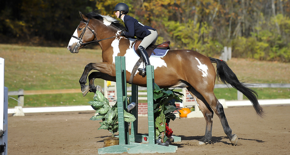 Riding Excels at Regional Championships