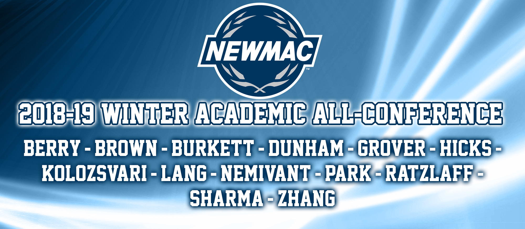 Photo showing the 13 student-athletes selected to the 2018-19 NEWMAC Academic All-Conference Teams for swimming & diving and basketball.