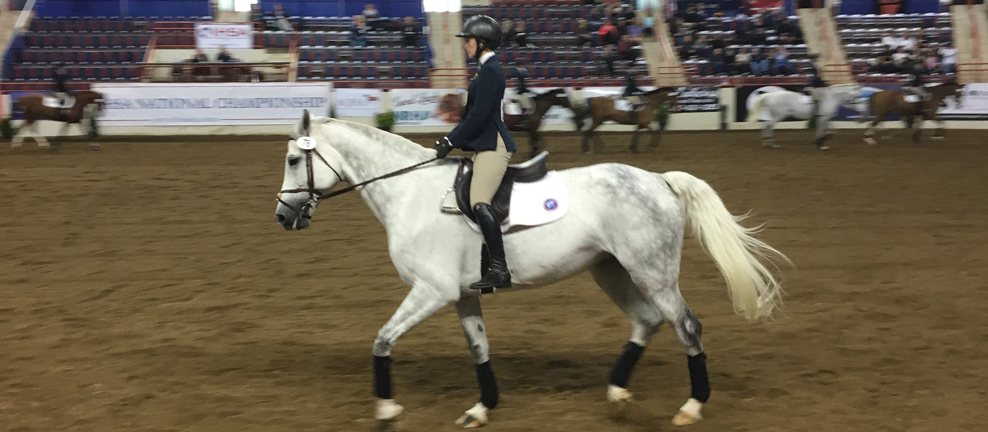 Photo of senior Lyons rider Sabrina Fox competing in Collegiate Cup Intermediate Equitation on the Flat at the 2018 IHSA National Championships on May 3.