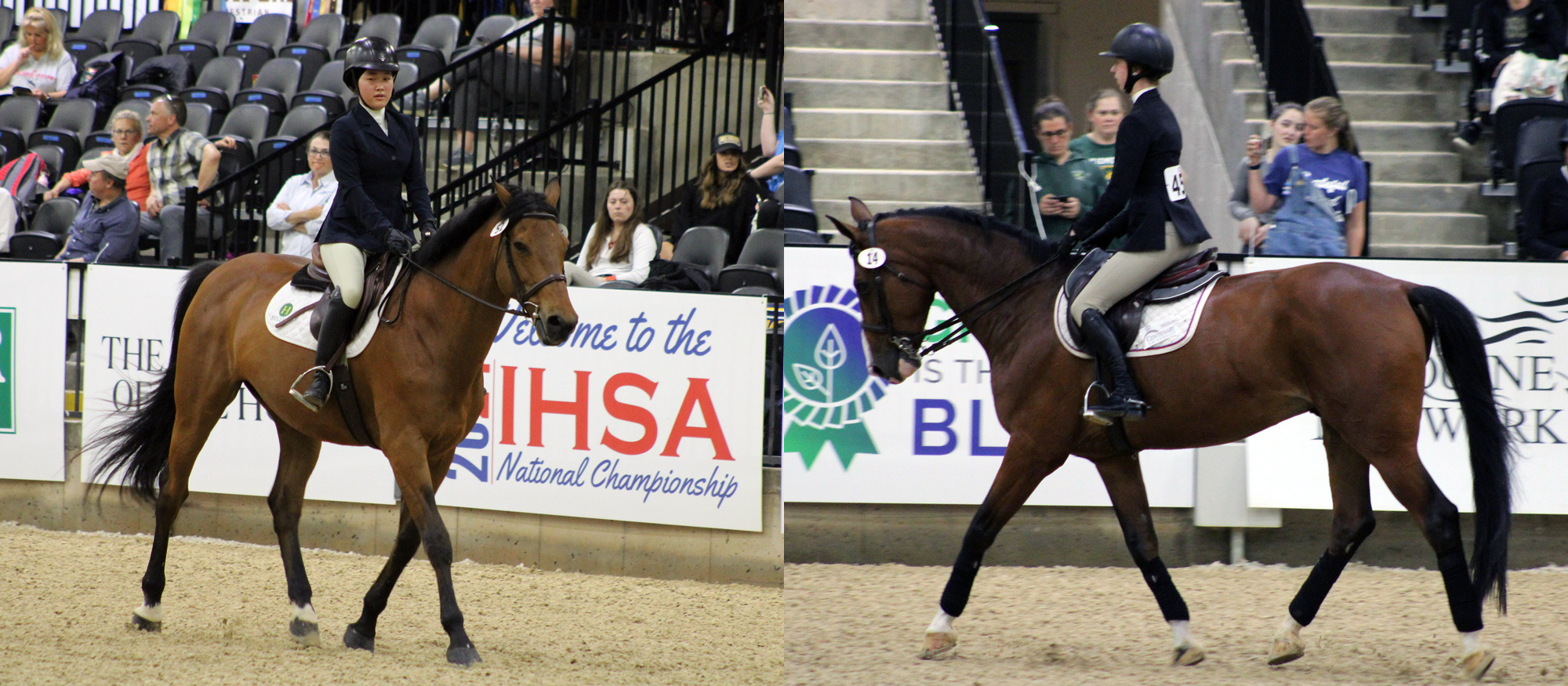 Eimi Fujioka (left) and Emmie Mirarchi (right) in action at 2024 IHSA Nationals at Tryon International Equestrian Center. (Cate Bates)