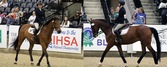 Equestrian standouts Mirarchi, Fujioka ride at IHSA Nationals