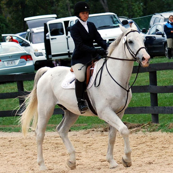 Riding Rolls to Third Straight High Point Championship at Home Show