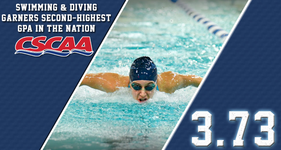 Swimmng & Diving Earns CSCAA Accolades