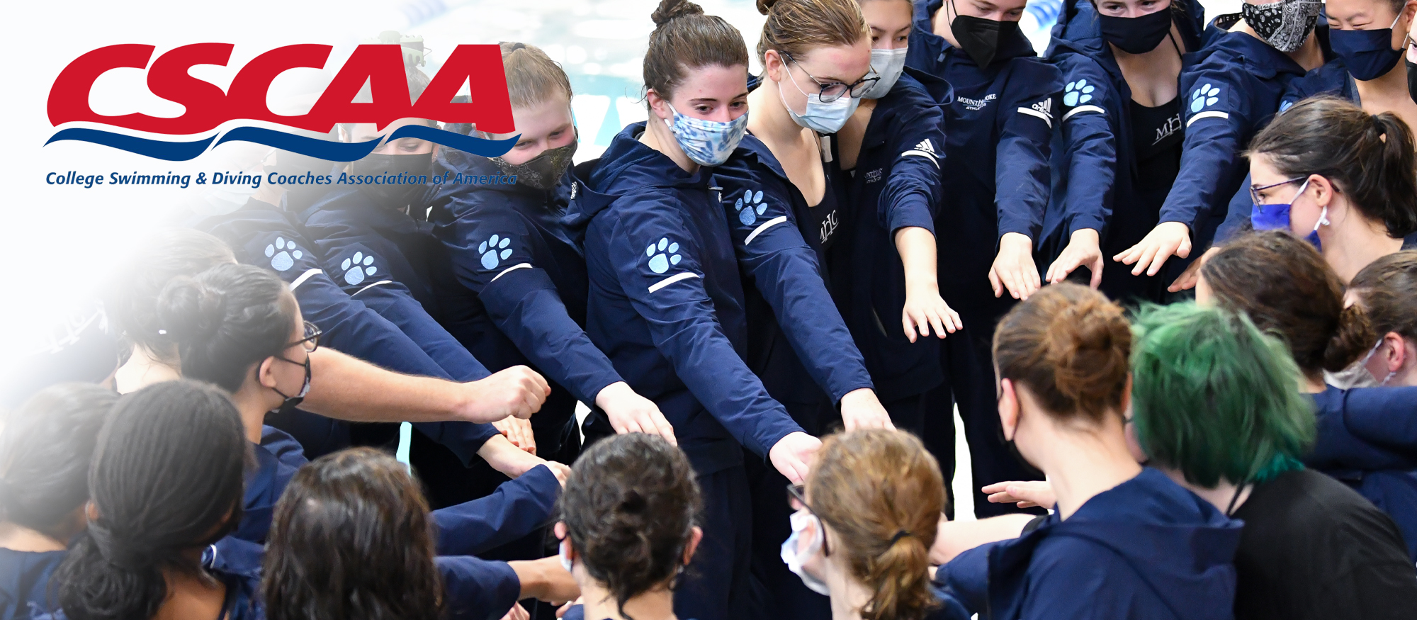 Swimming and Diving Earns CSCAA Scholar All-America Team Recognition