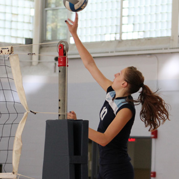 Volleyball Falls at WPI in NEWMAC Action