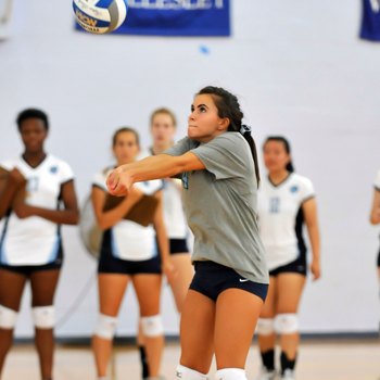 Volleyball Shoulders 3-0 Loss at Smith