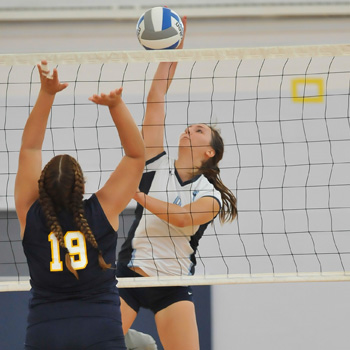Volleyball Tripped Up in NEWMAC/LEC Action