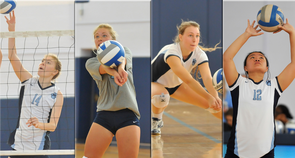 Lyons Game Day Central: Volleyball vs. WPI on Saturday at 1pm