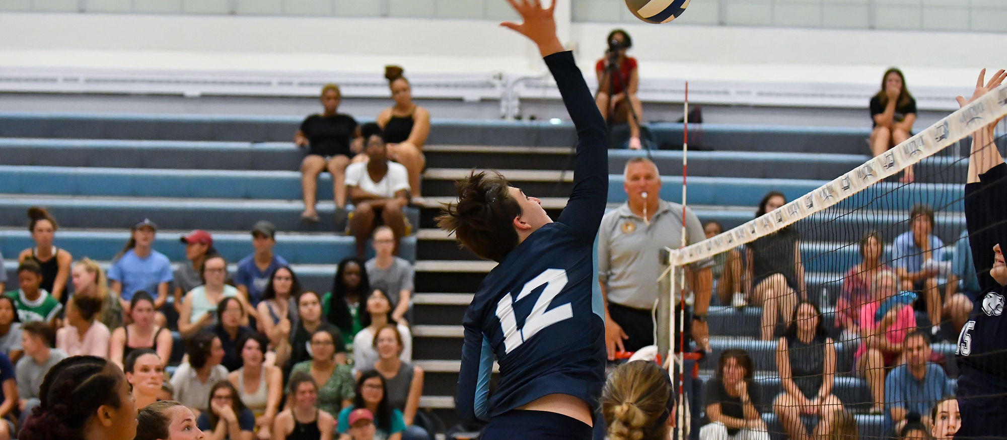 Action photo of Lyons volleyball player, Sasha Simine.