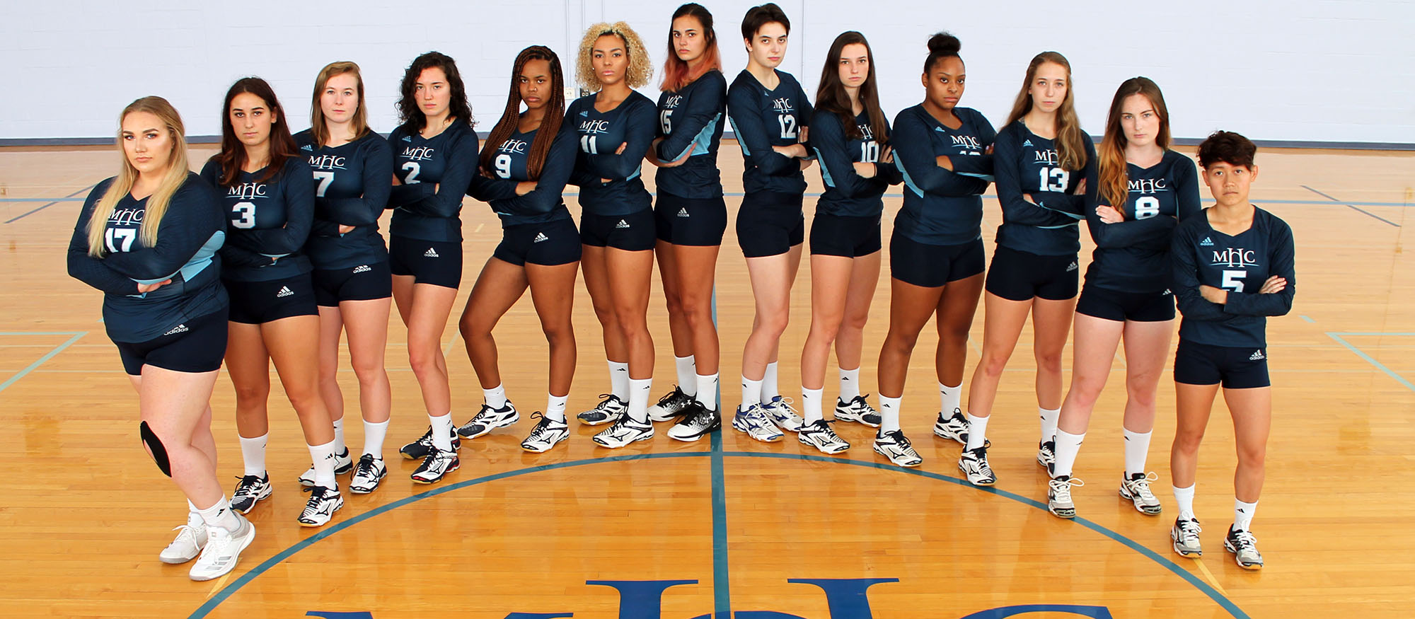 Photo of the 2018 Lyons Volleyball Team