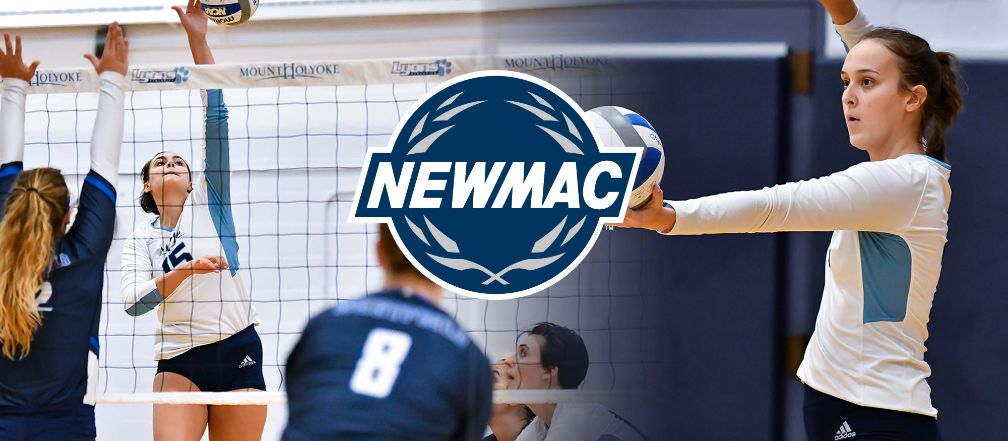 Four Volleyball Student-Athletes Collect NEWMAC Academic All-Conference Honors